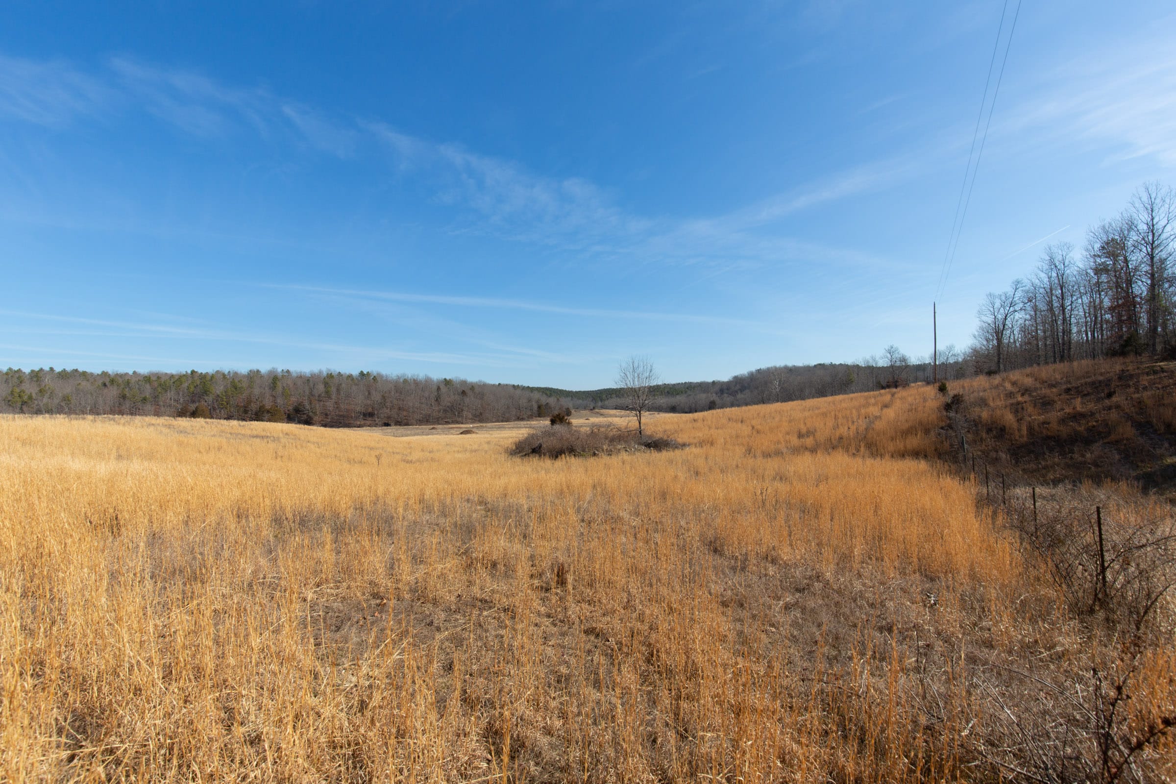 O’Connor Crossing Tract 36 photo 19