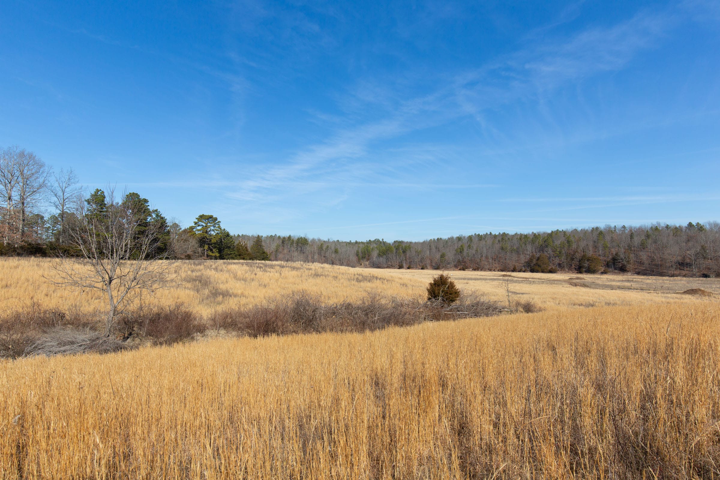 O’Connor Crossing Tract 36 photo 21