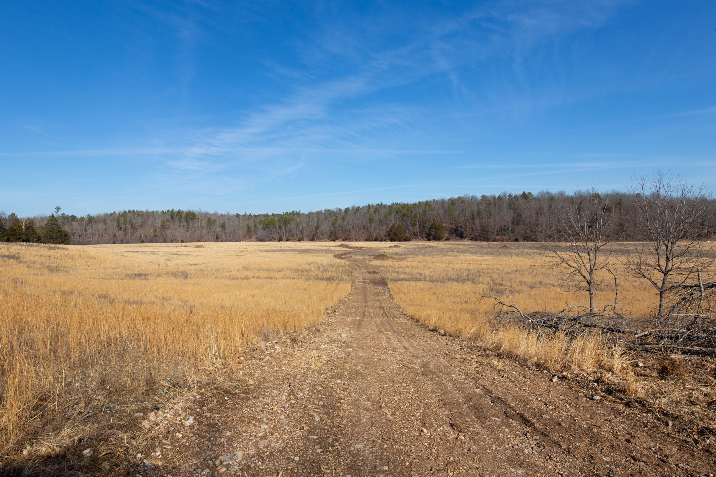 O’Connor Crossing Tract 36 photo 9