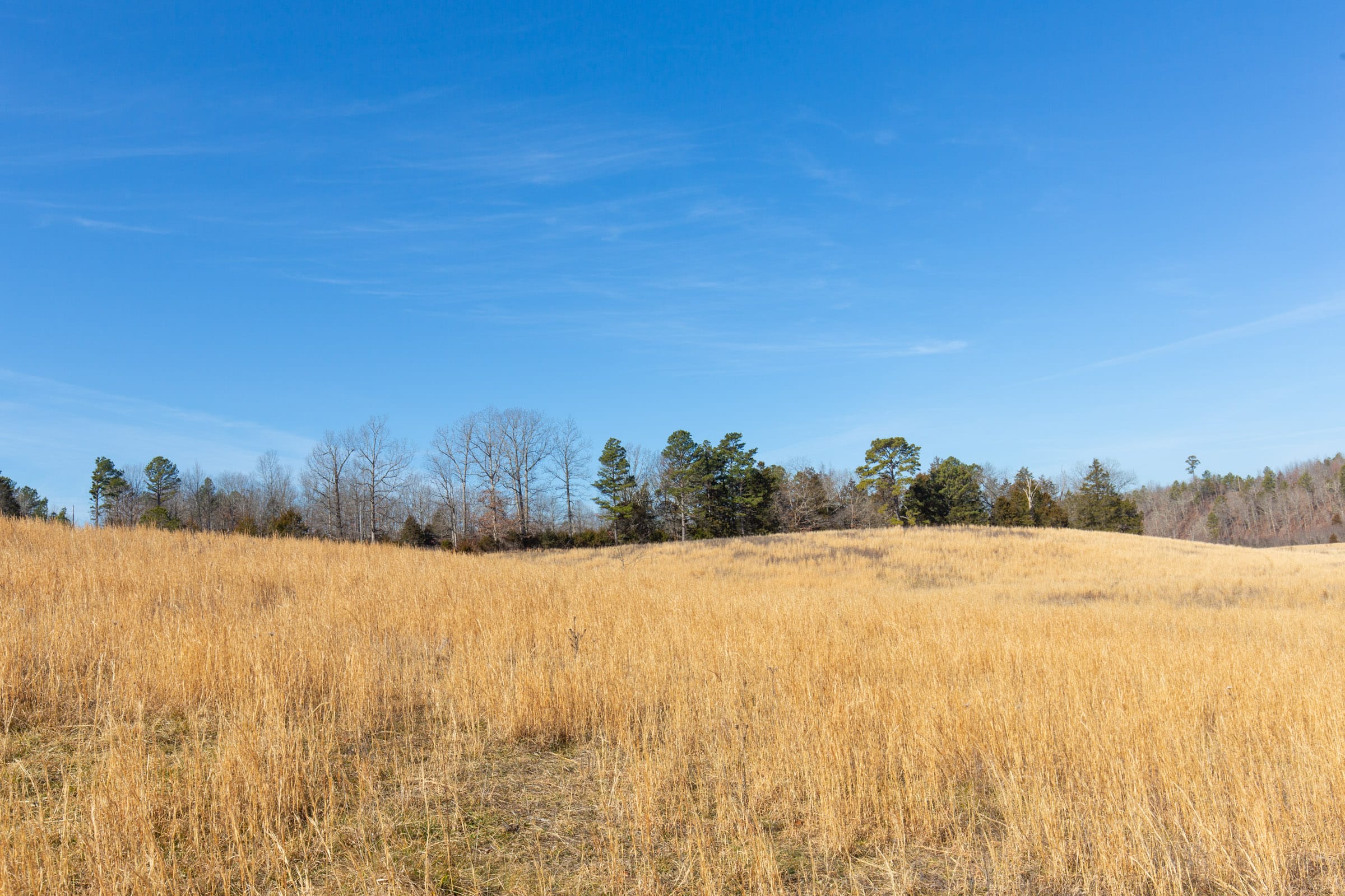 O’Connor Crossing Tract 36 photo 23