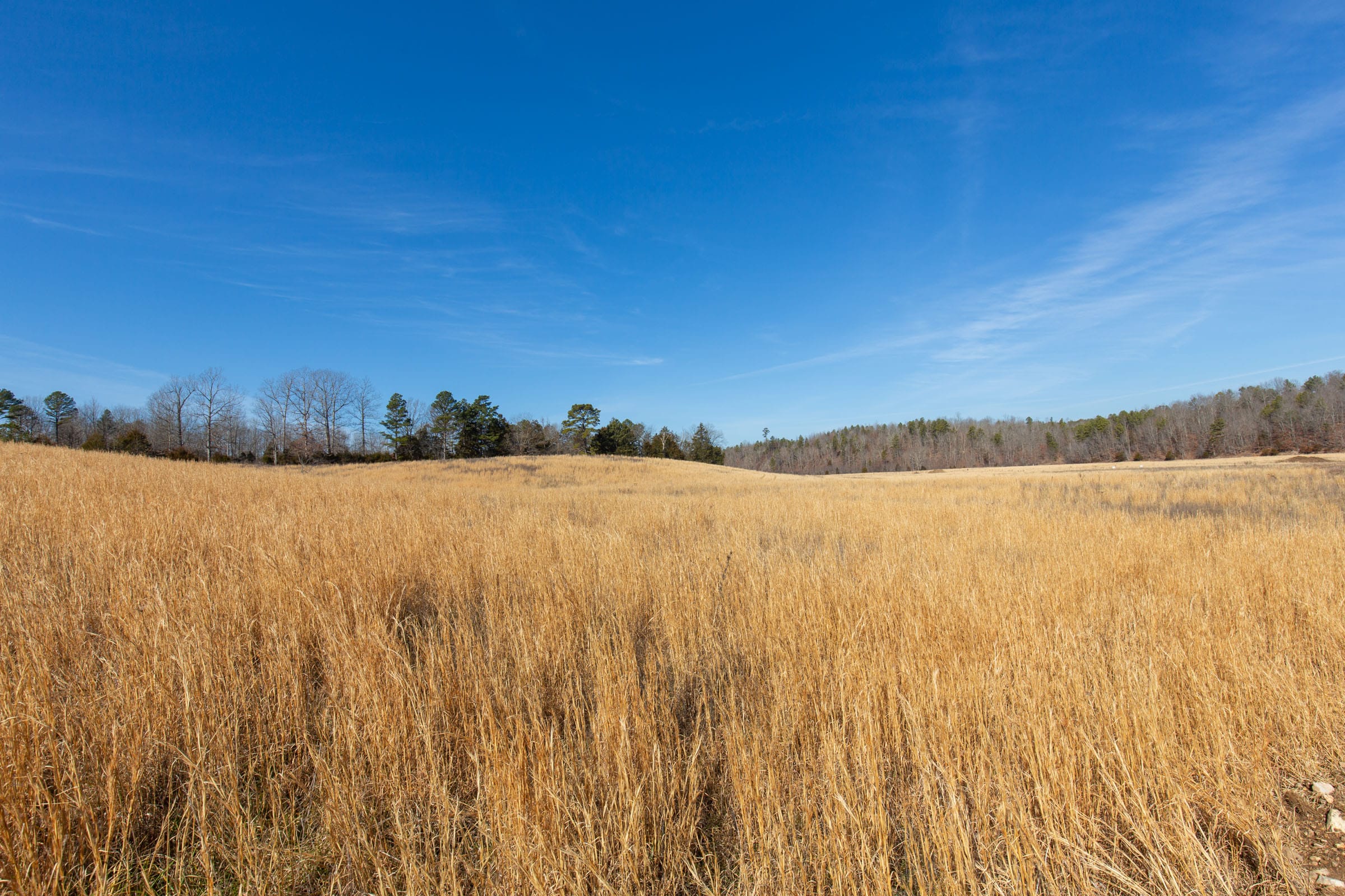 O’Connor Crossing Tract 36 photo 24