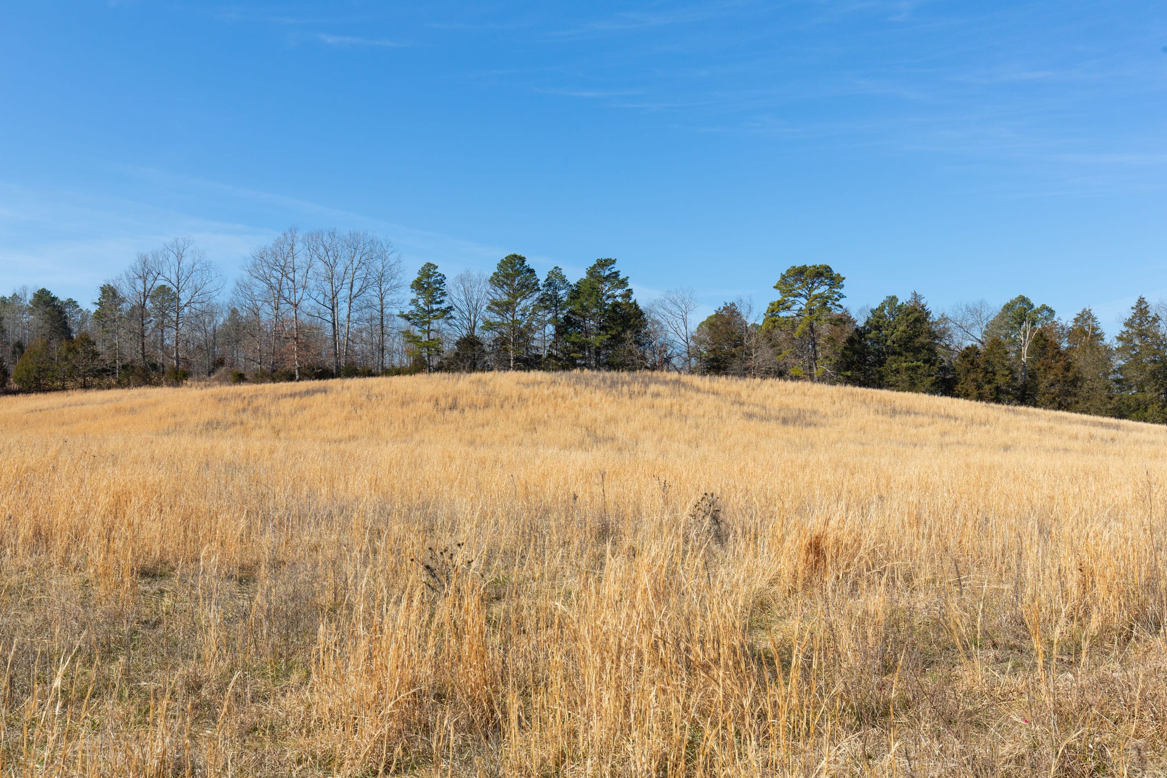 O’Connor Crossing Tract 36 photo 28