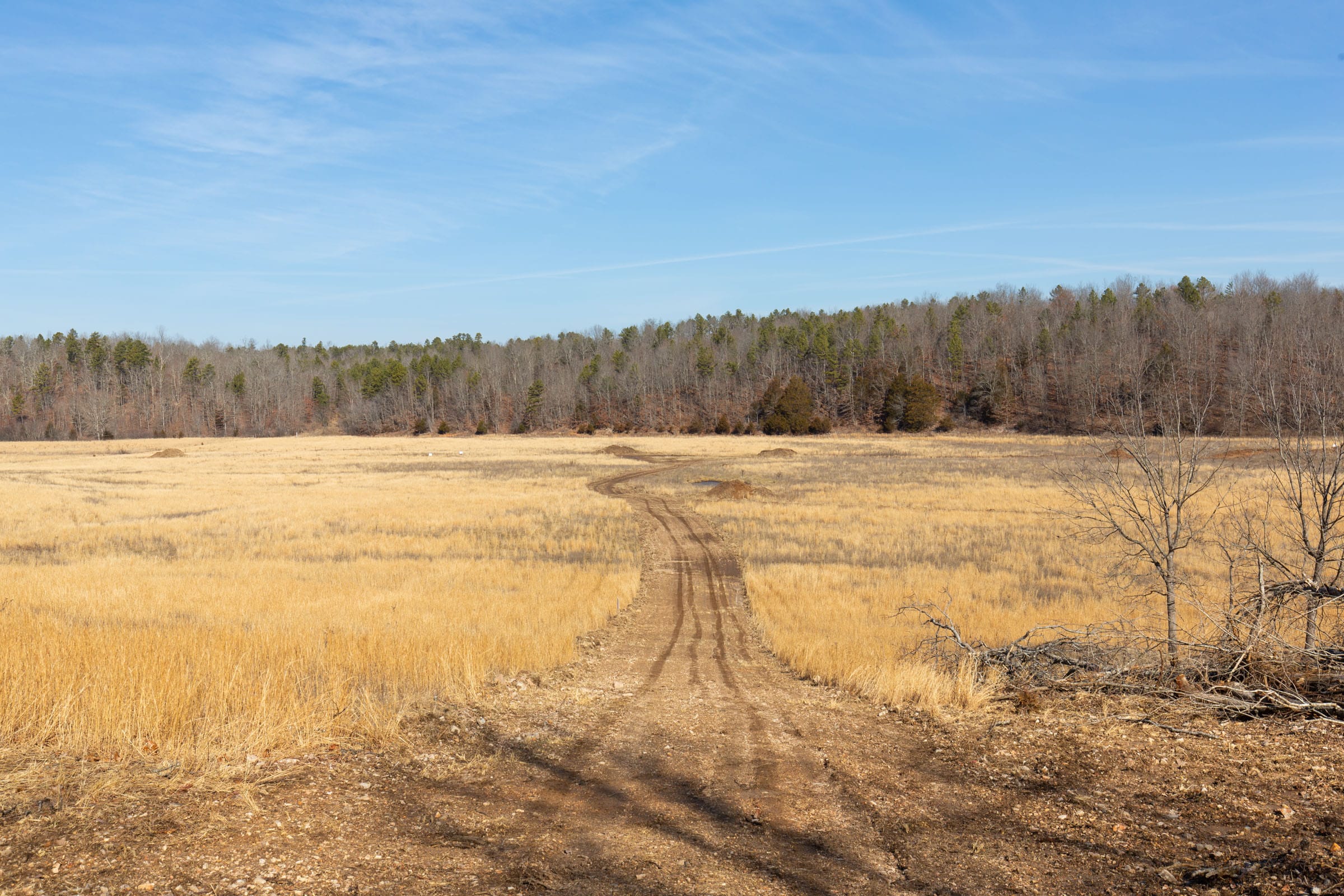 O’Connor Crossing Tract 36 photo 2