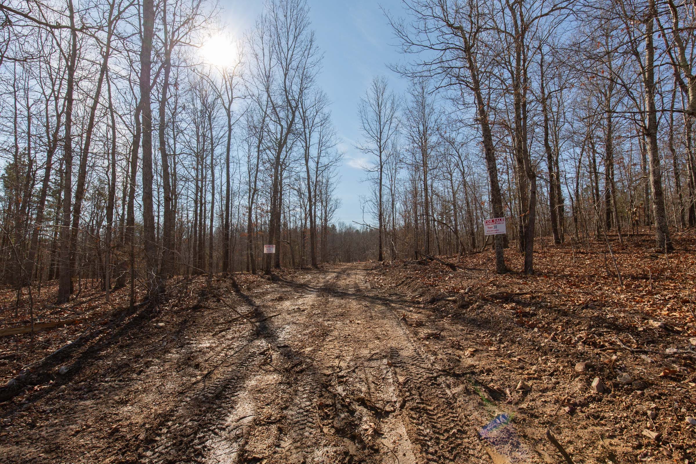 O’Connor Crossing Tract 36 photo 17