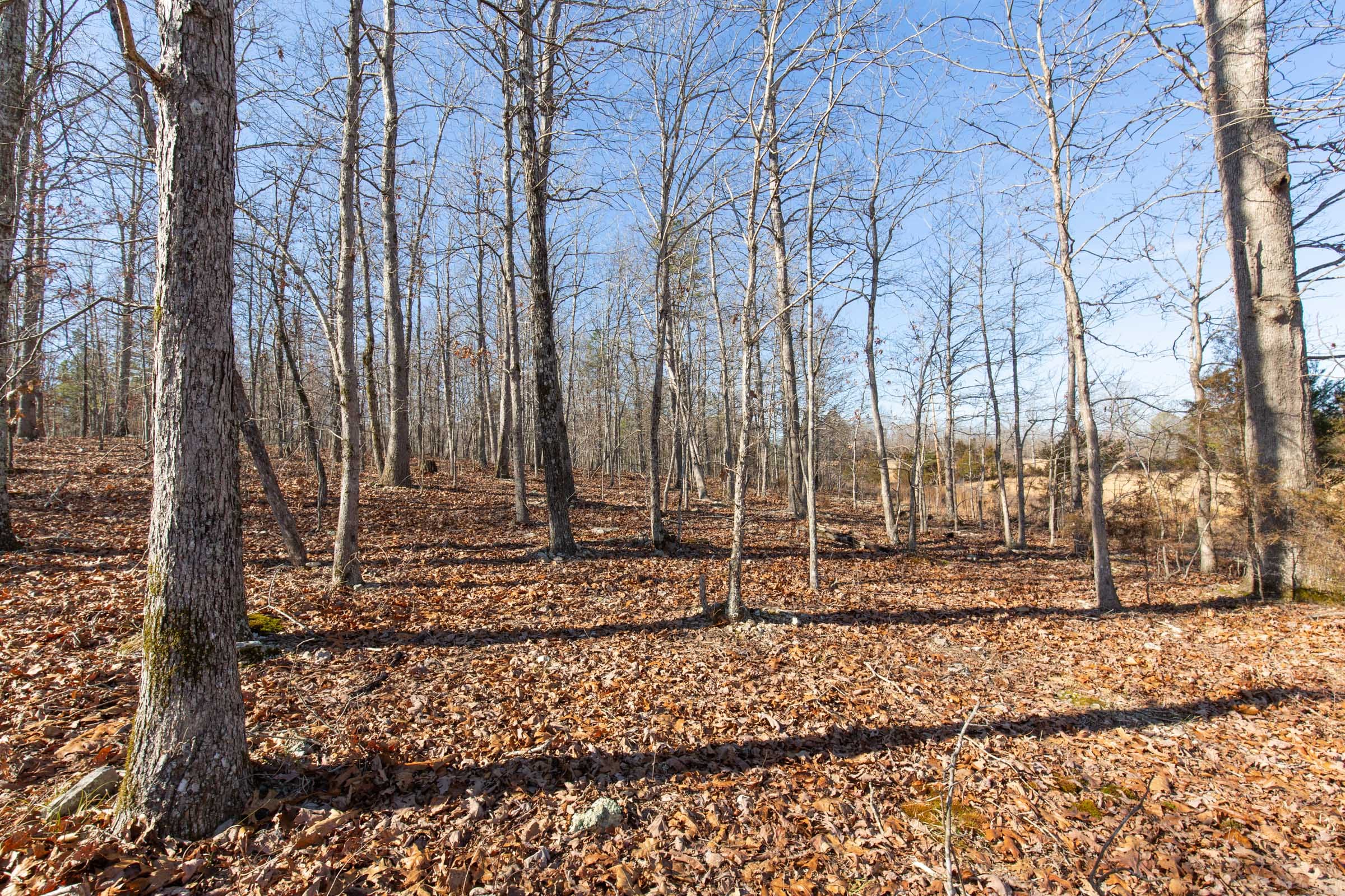 O’Connor Crossing Tract 36 photo 27