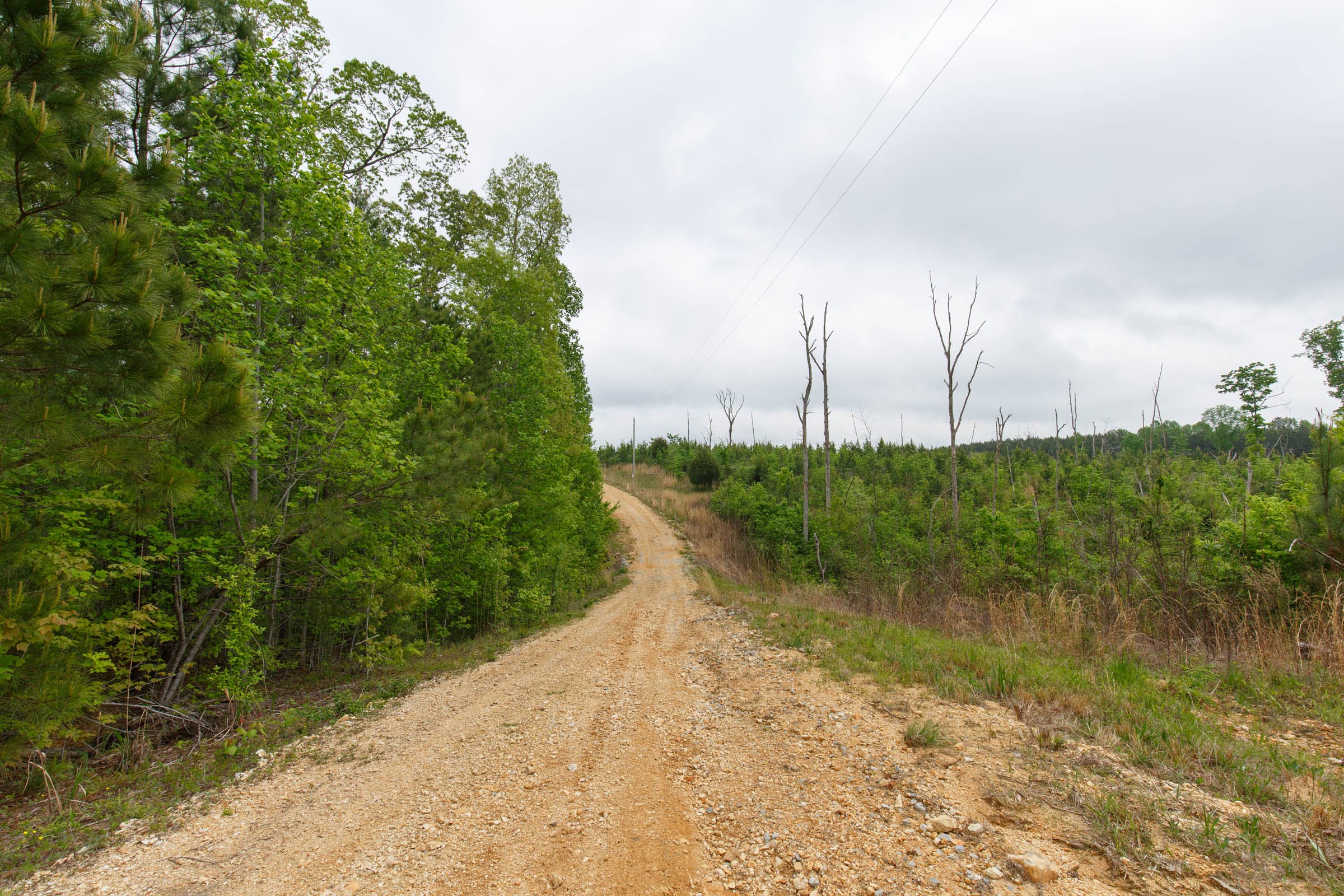 Red Barn Ranch Tract 11 photo 1