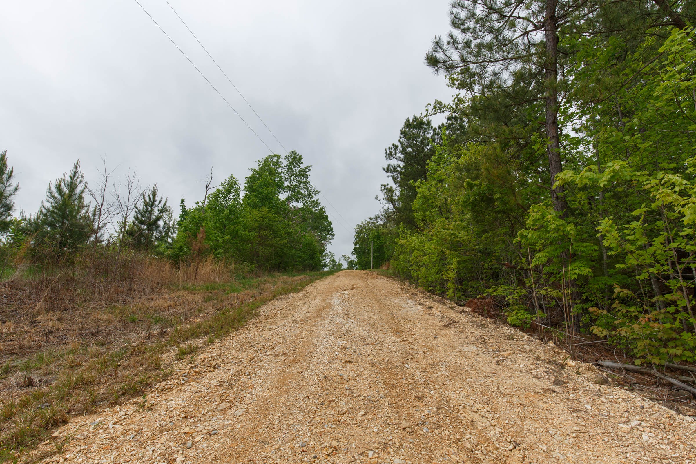 Red Barn Ranch Tract 11 photo 3