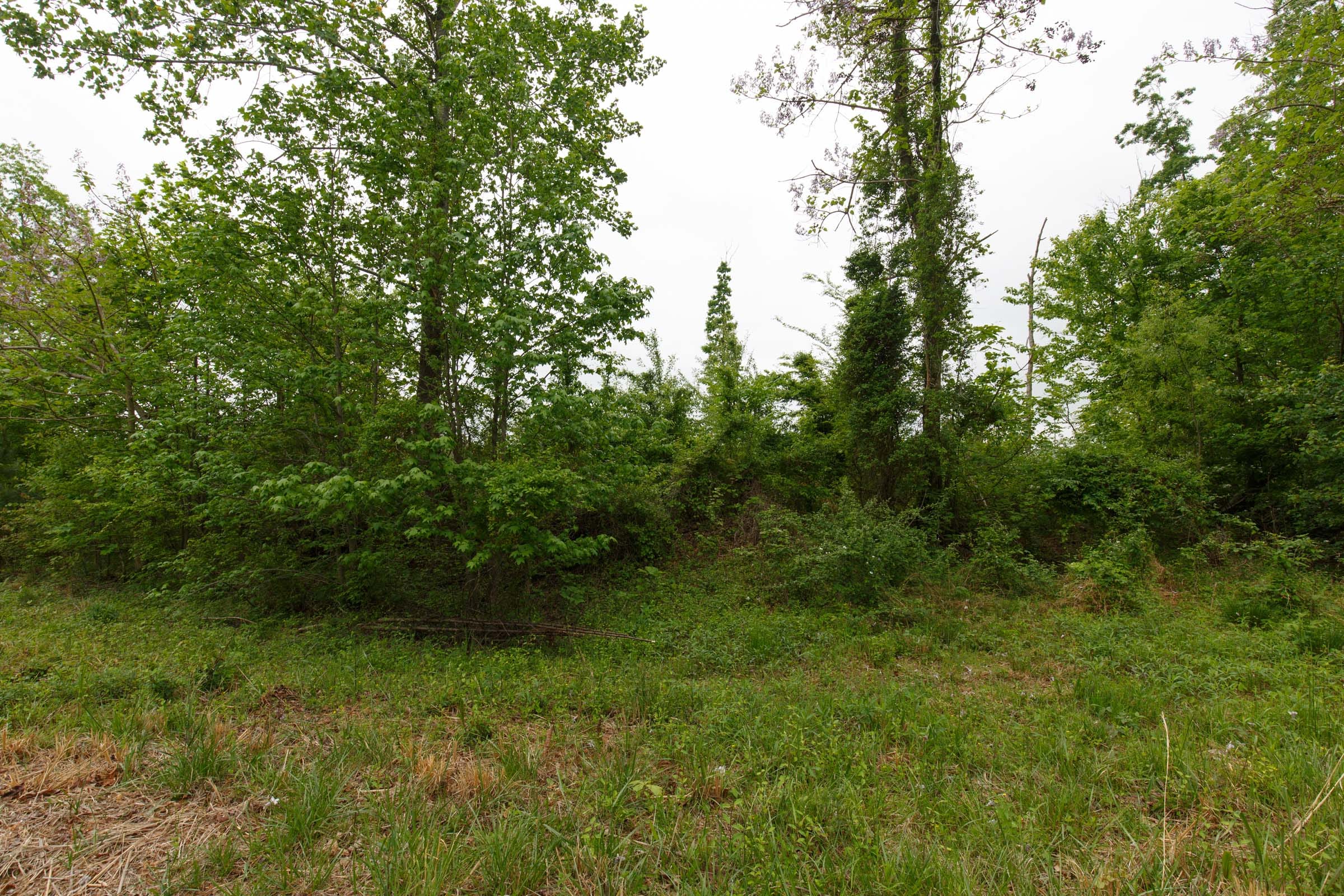 Red Barn Ranch Tract 11 photo 5