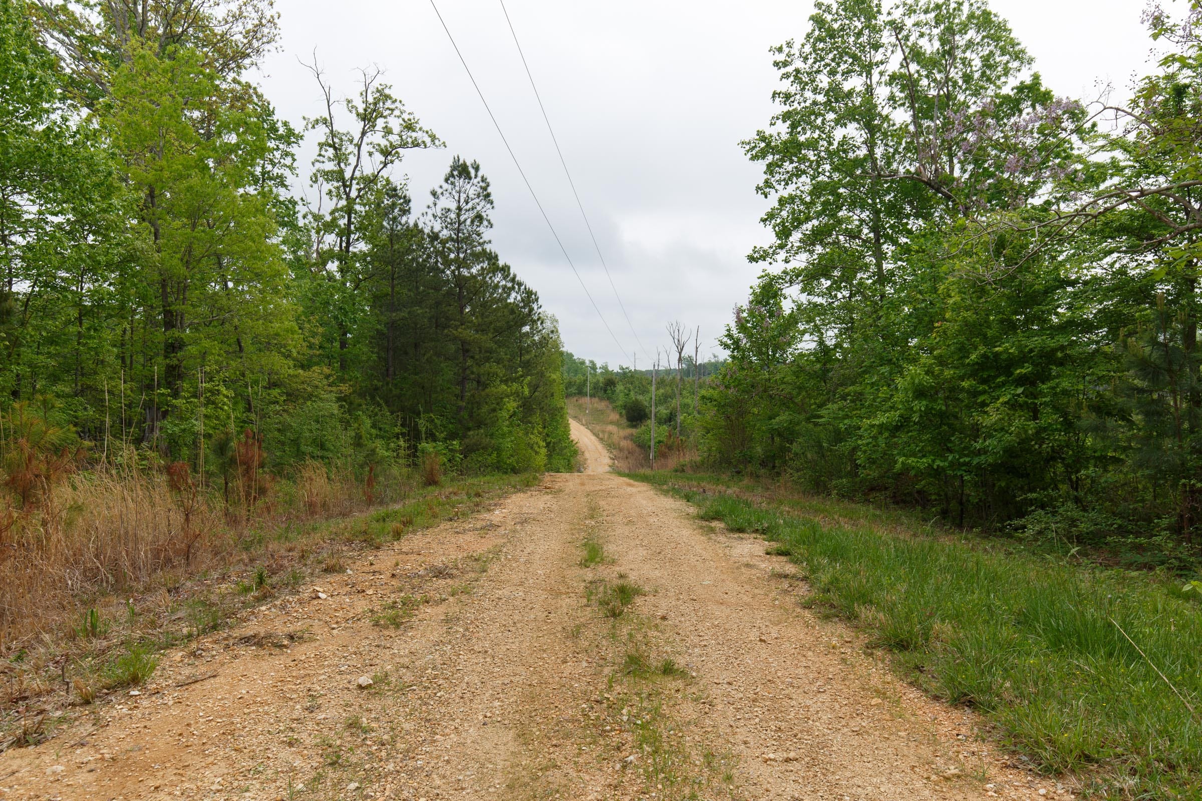 Red Barn Ranch Tract 11 photo 7