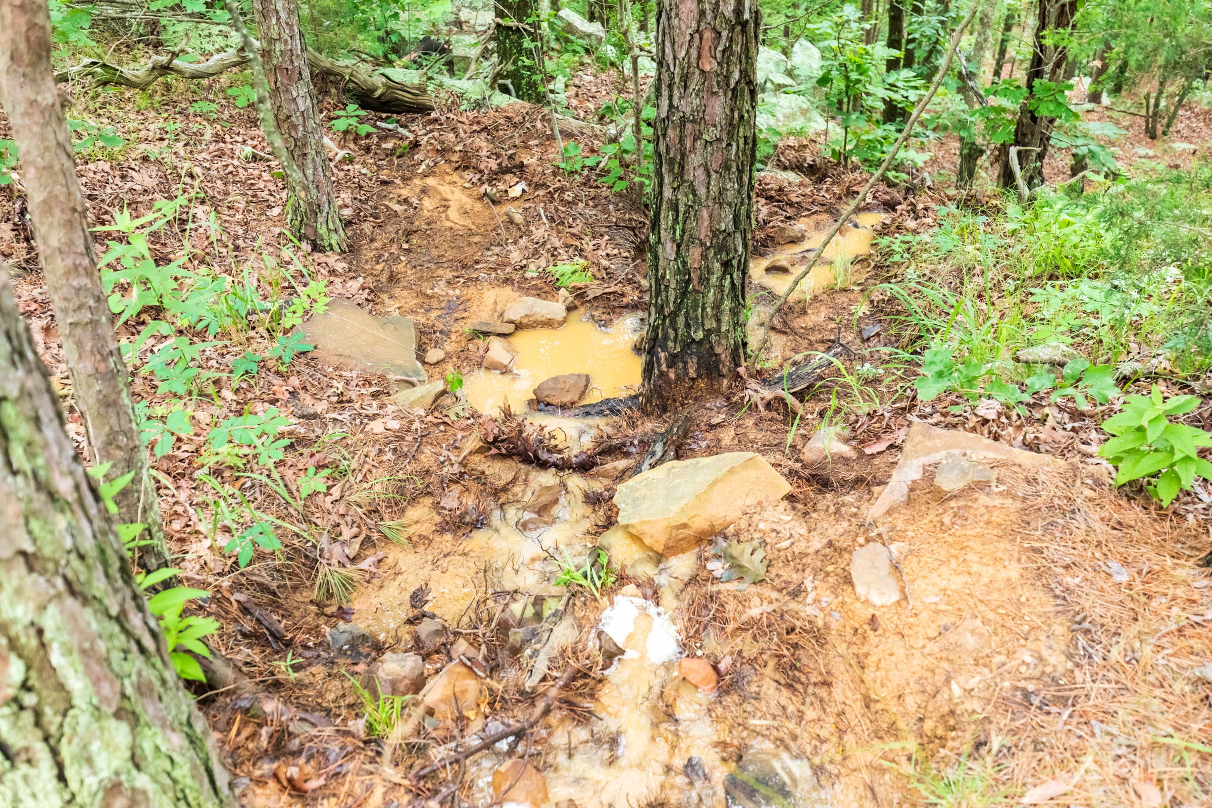 Stone Bridge Phase VI Tract 440 photo 2