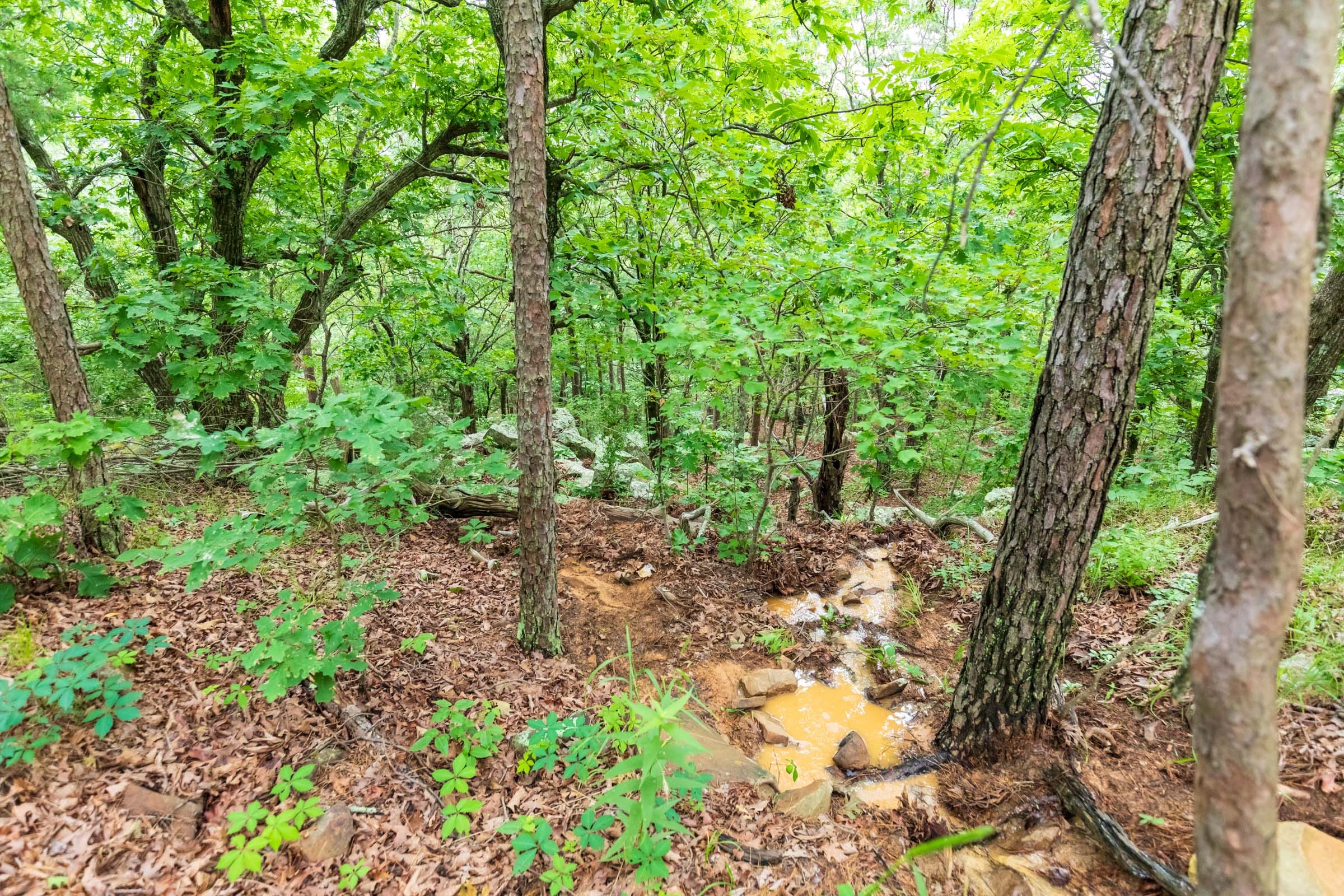 Stone Bridge Phase VI Tract 440 photo 4
