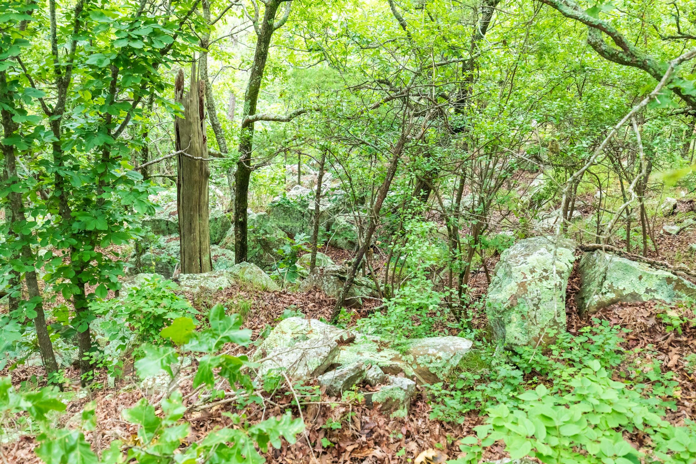 Stone Bridge Phase VI Tract 440 photo 3
