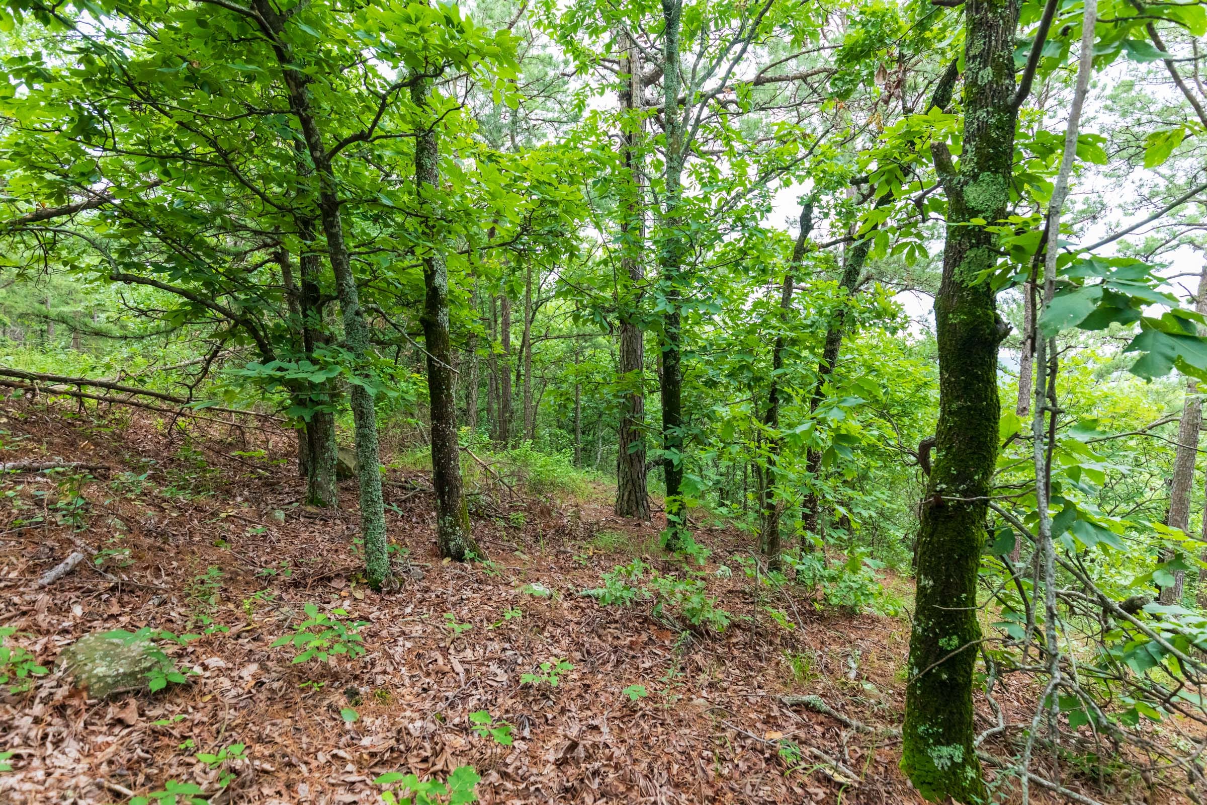 Stone Bridge Phase VI Tract 440 photo 6