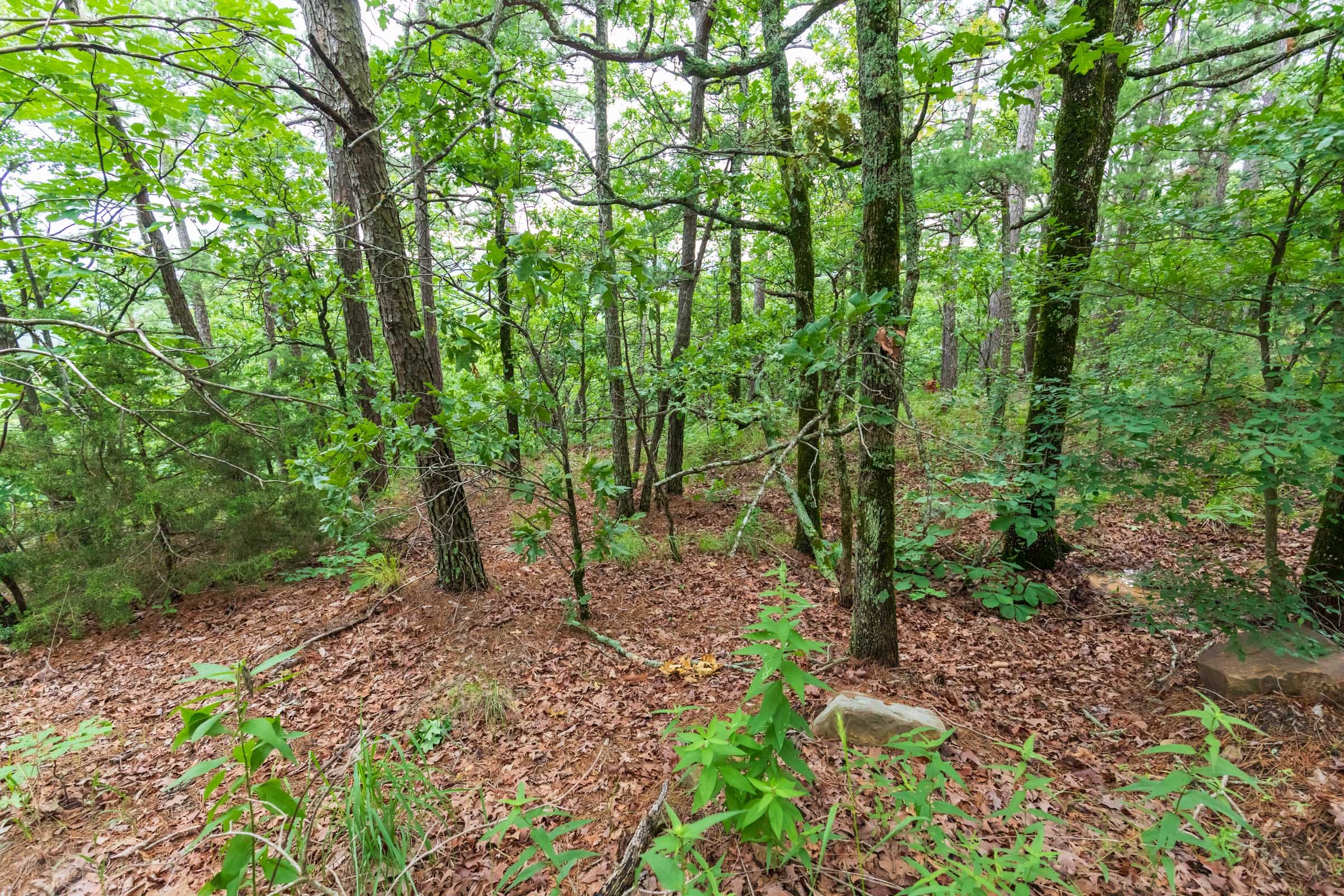 Stone Bridge Phase VI Tract 440 photo 7