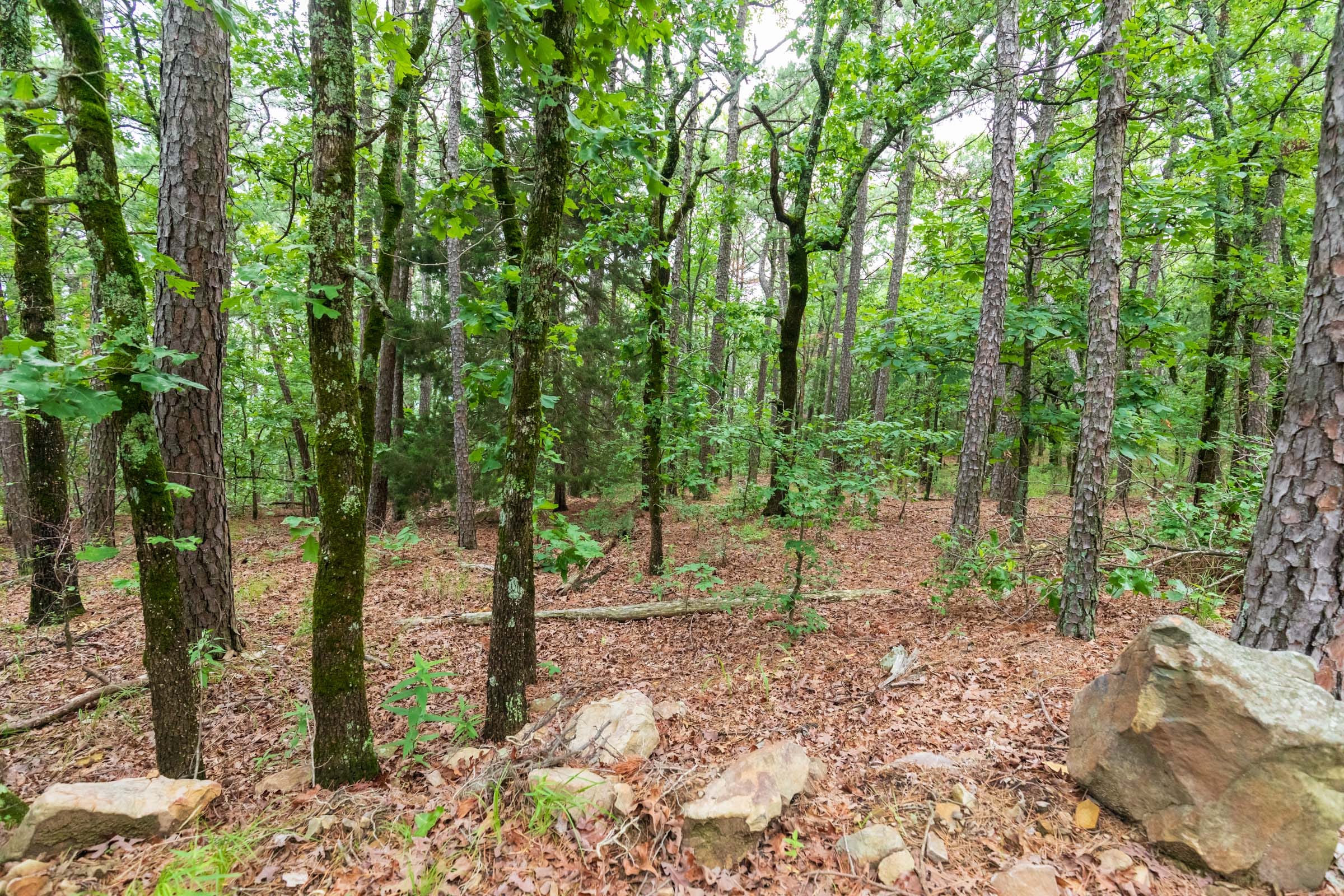 Stone Bridge Phase VI Tract 440 photo 9