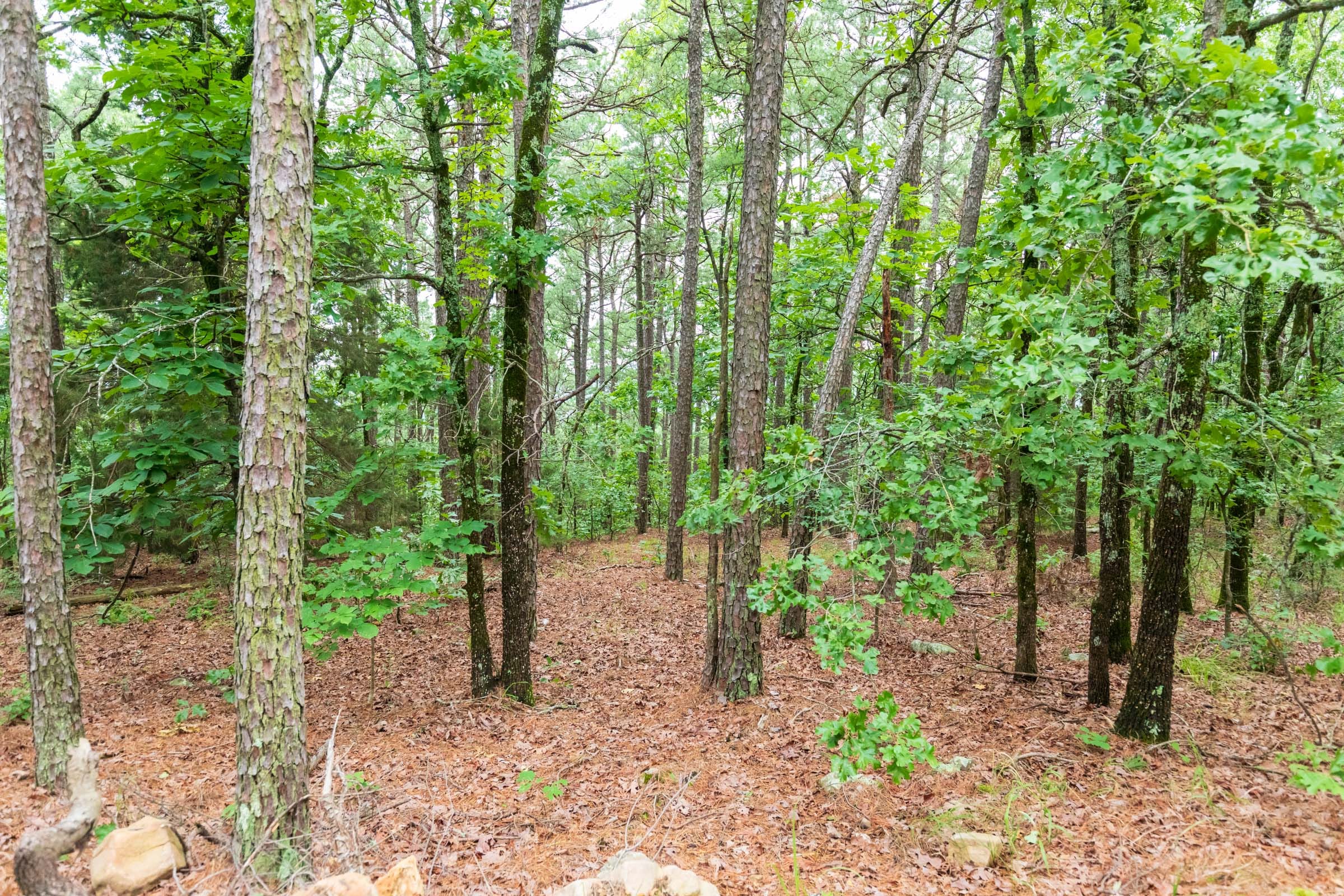Stone Bridge Phase VI Tract 440 photo 11