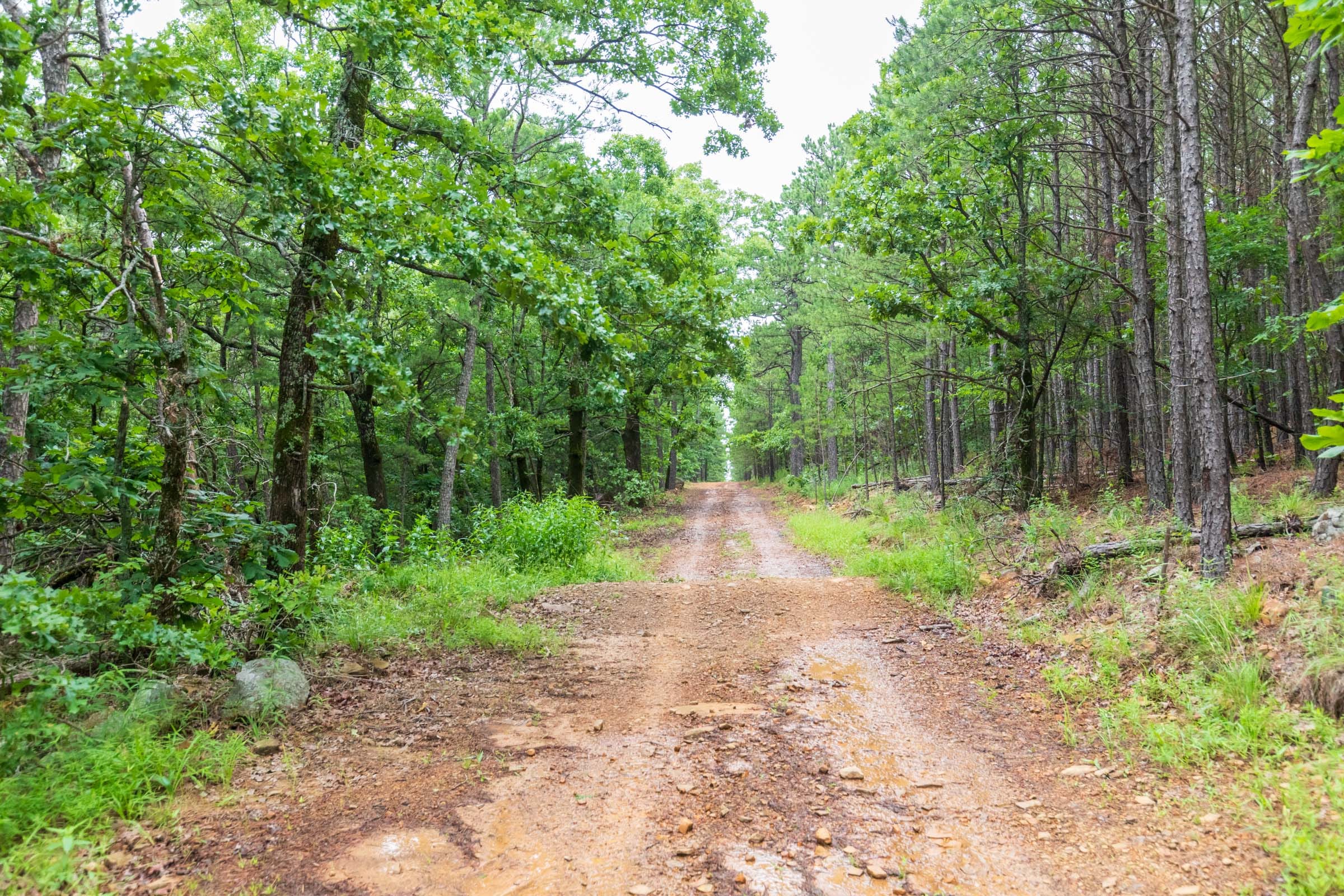 Stone Bridge Phase VI Tract 440 photo 1