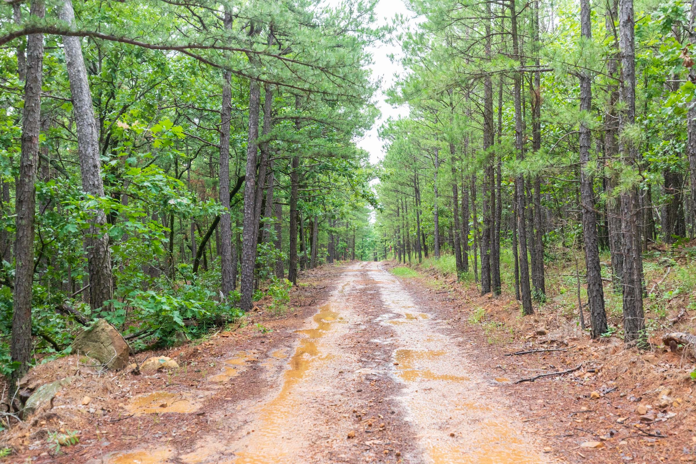 Stone Bridge Phase VI Tract 440 photo 12