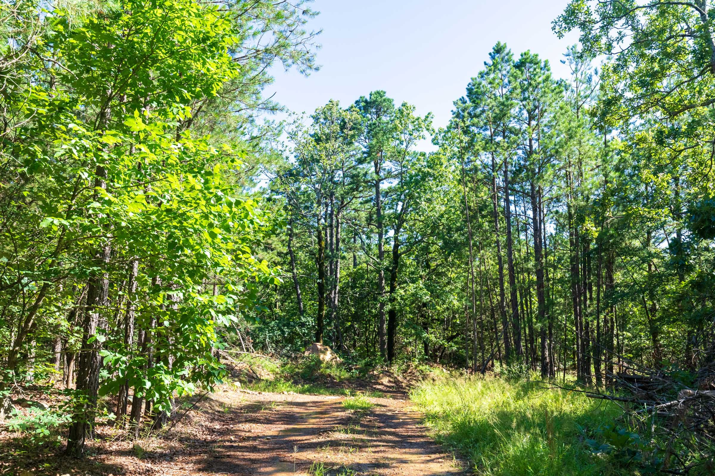 Stone Bridge Phase VI Tract 440 photo 18