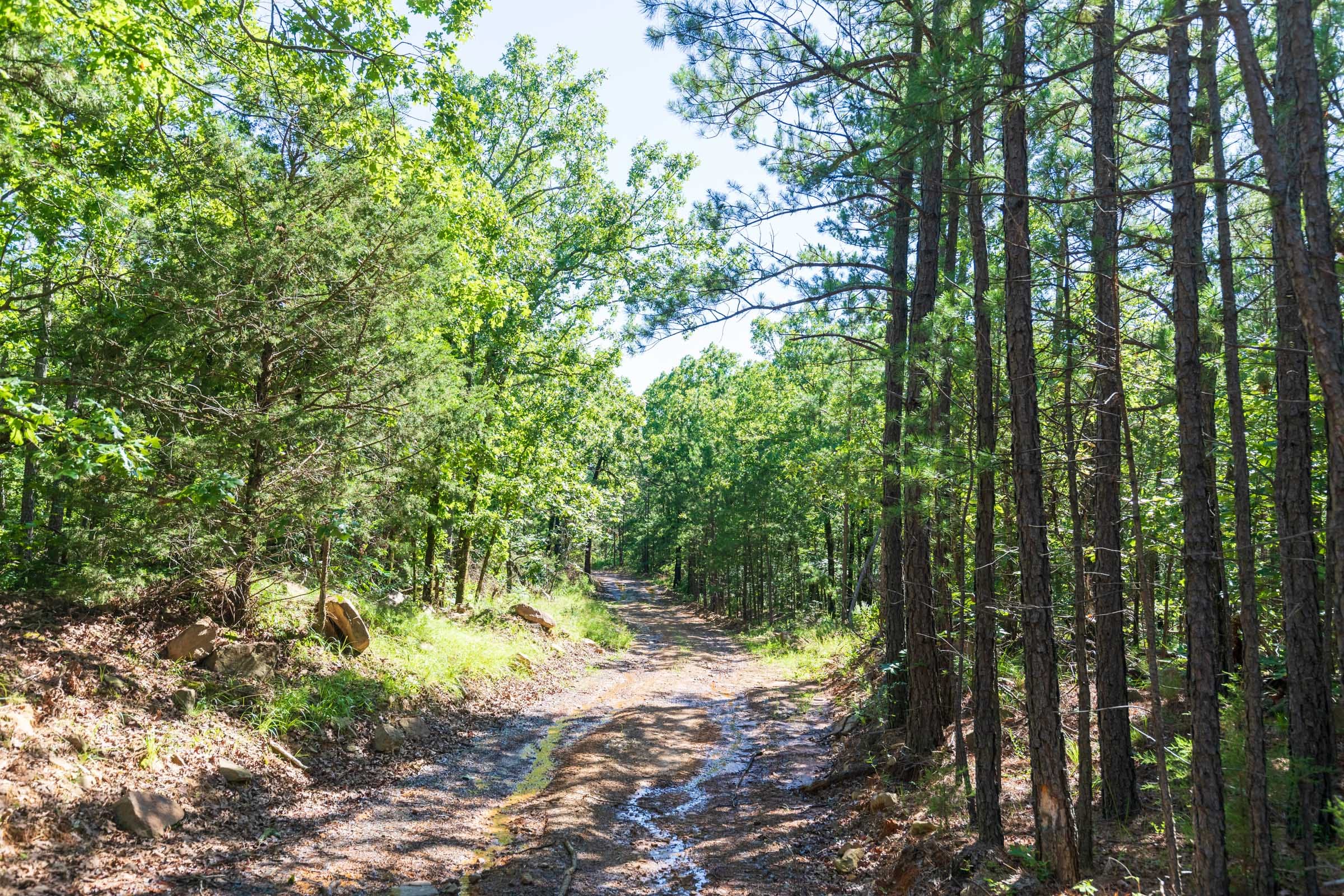 Stone Bridge Phase VI Tract 440 photo 15
