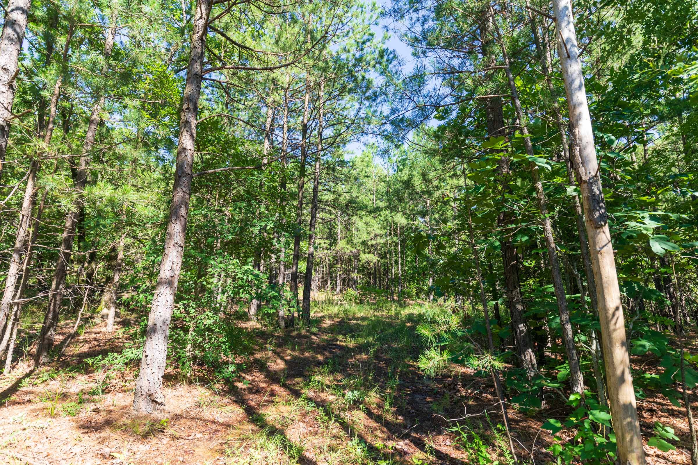 Stone Bridge Phase VI Tract 440 photo 21
