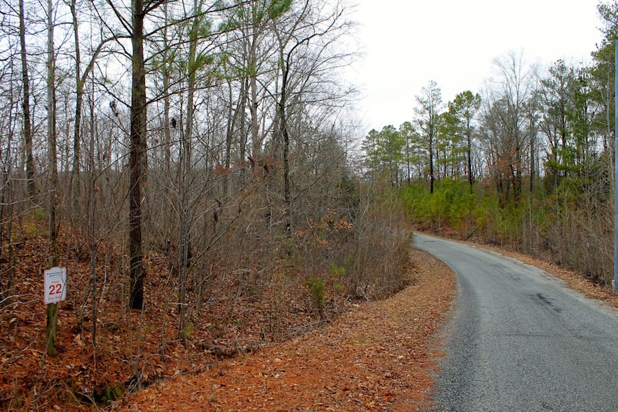 The Tennessean Tract 22 photo 1