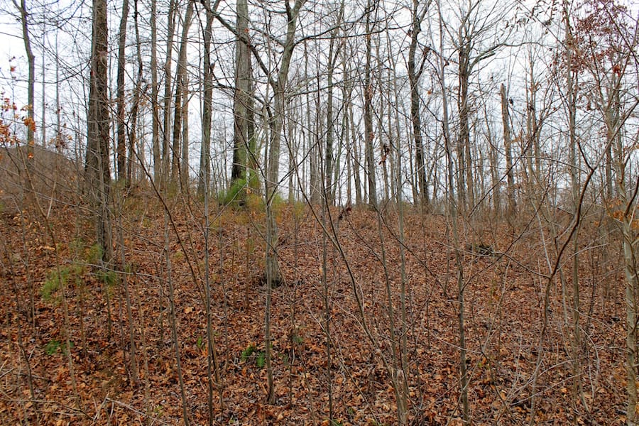 The Tennessean Tract 22 photo 2