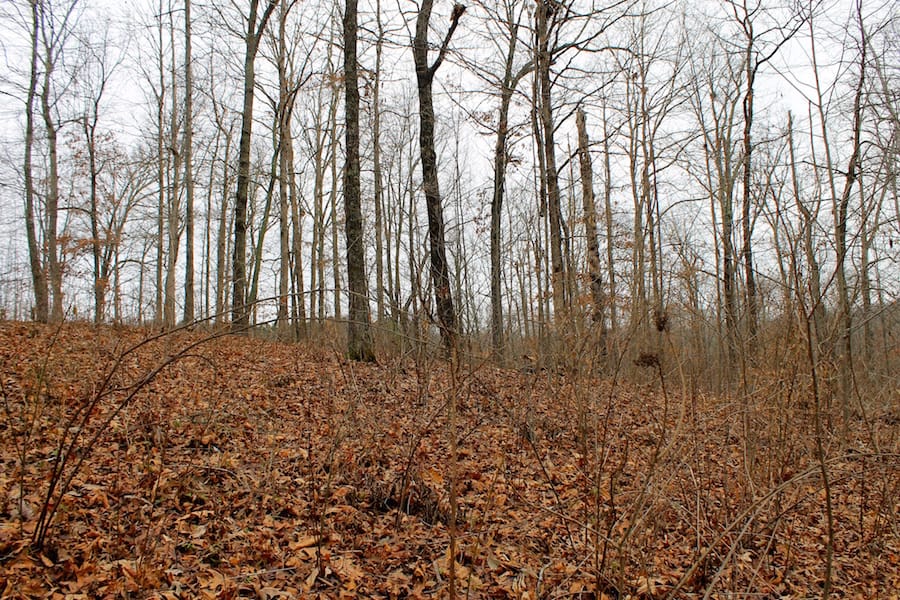 The Tennessean Tract 22 photo 3