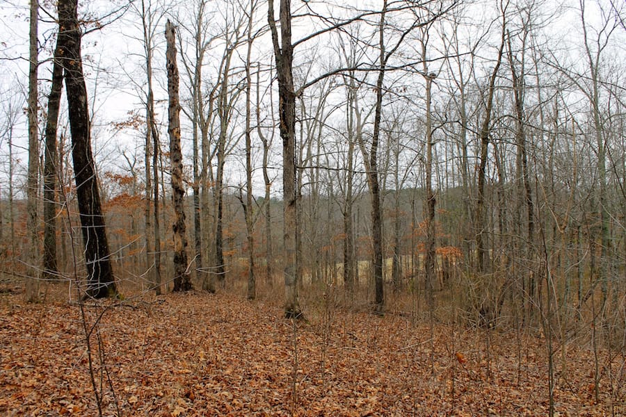 The Tennessean Tract 22 photo 5