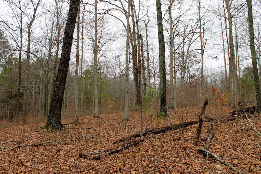The Tennessean Tract 22 photo 6