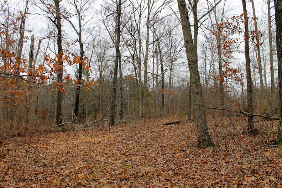 The Tennessean Tract 22 photo 7