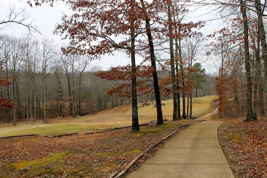 The Tennessean Tract 22 photo 8