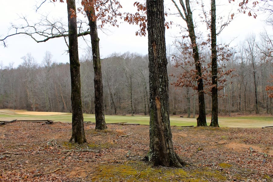 The Tennessean Tract 22 photo 9