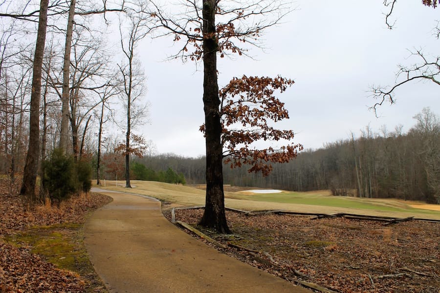 The Tennessean Tract 22 photo 10