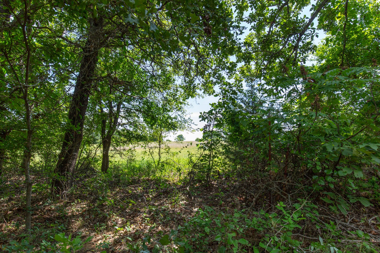 Timber Ridge Tract 45 photo 4