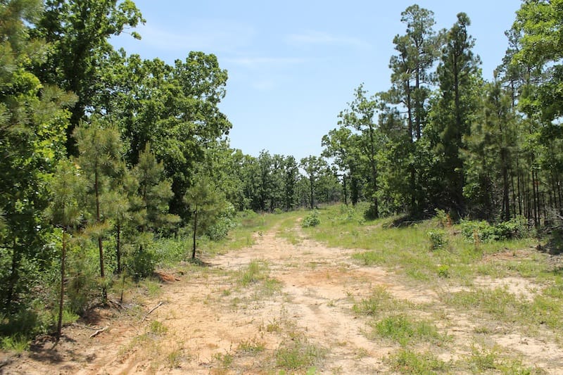 Indian Ridge – Phase II Tract 63 photo 1