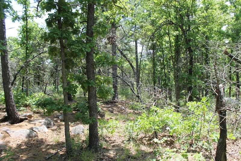 Indian Ridge – Phase II Tract 63 photo 3