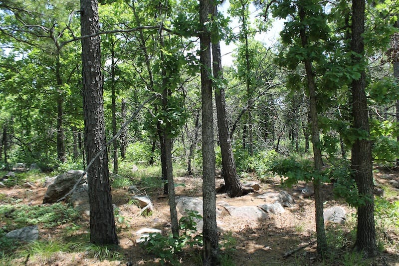 Indian Ridge – Phase II Tract 63 photo 4