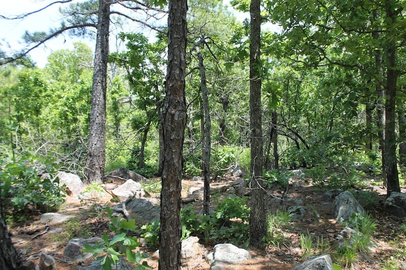 Indian Ridge – Phase II Tract 63 photo 5
