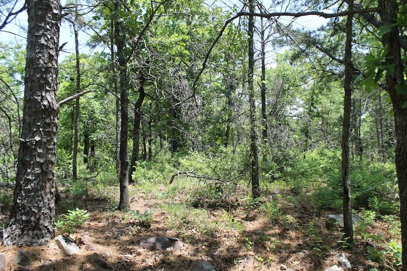 Indian Ridge – Phase II Tract 63 photo 6