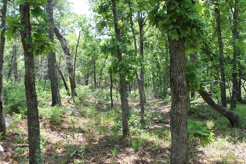 Indian Ridge – Phase II Tract 63 photo 7