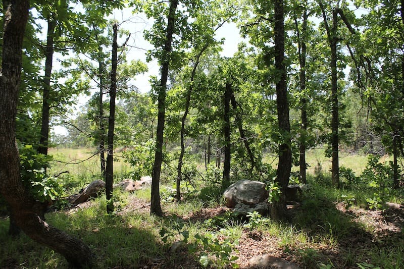 Indian Ridge – Phase II Tract 63 photo 8