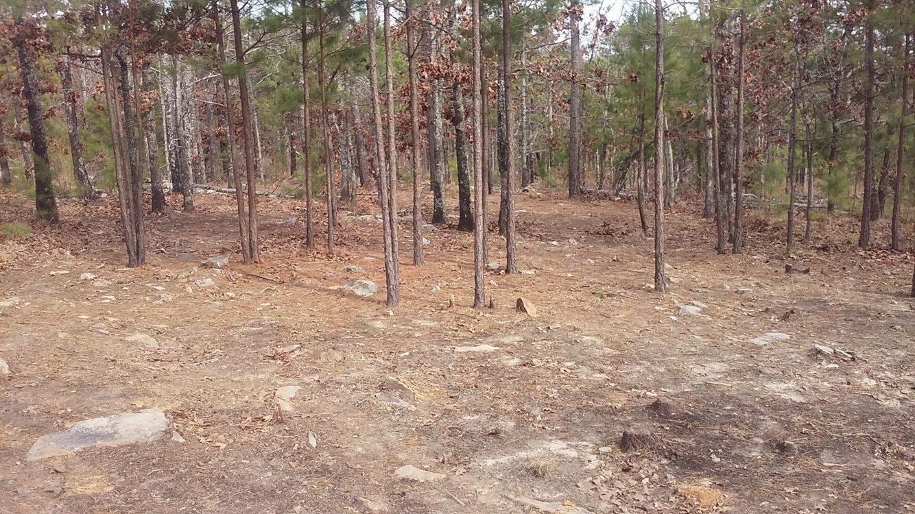 Indian Ridge – Phase II Tract 63 photo 15