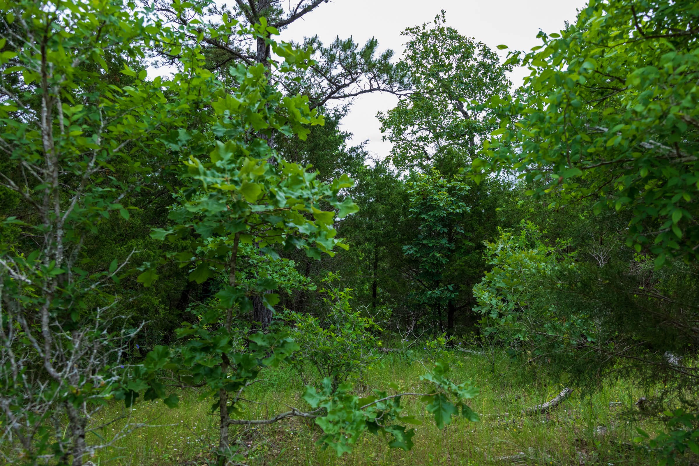 Falcon Crest Tract 16 photo 2