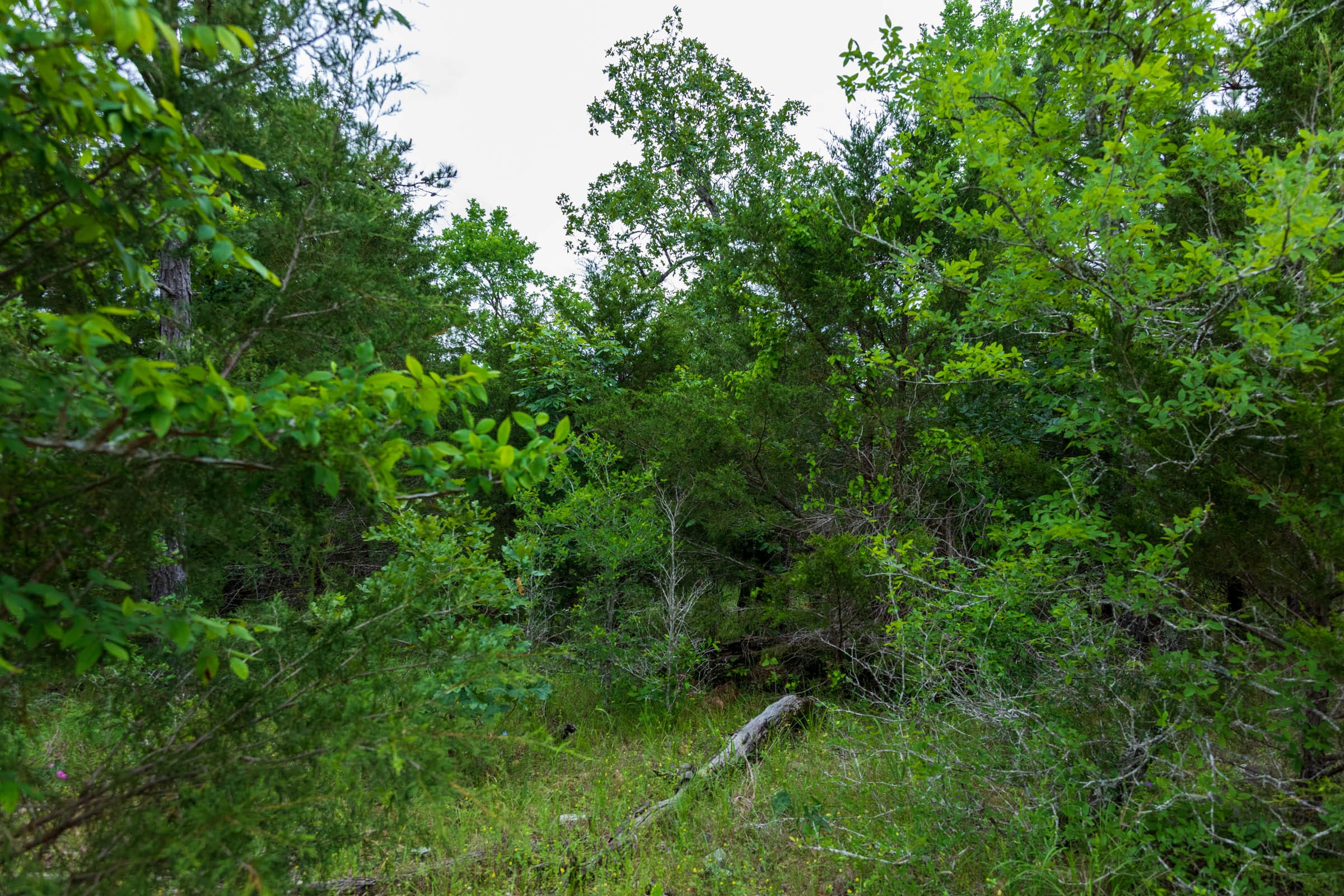 Falcon Crest Tract 16 photo 5