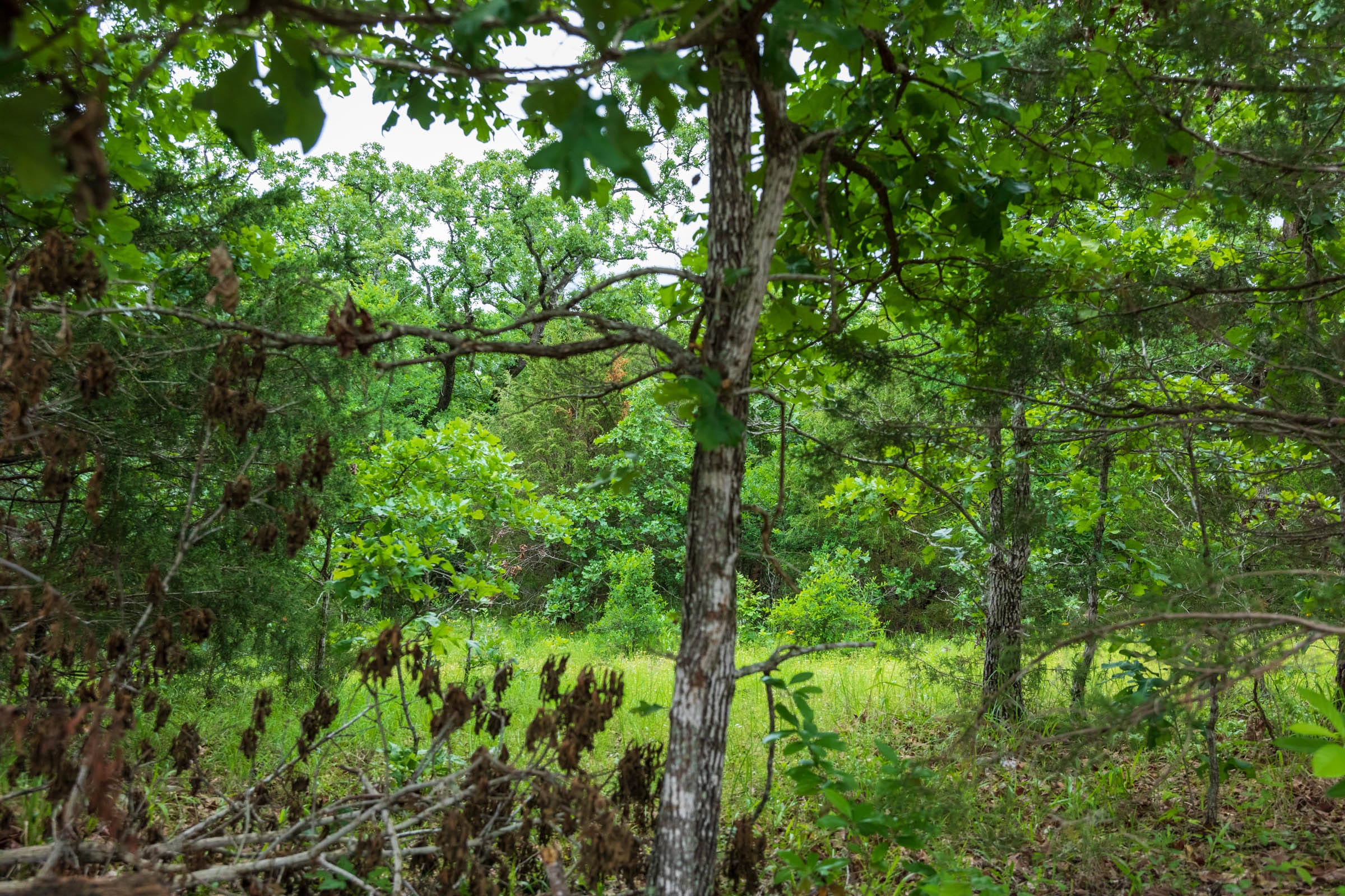Falcon Crest Tract 16 photo 3