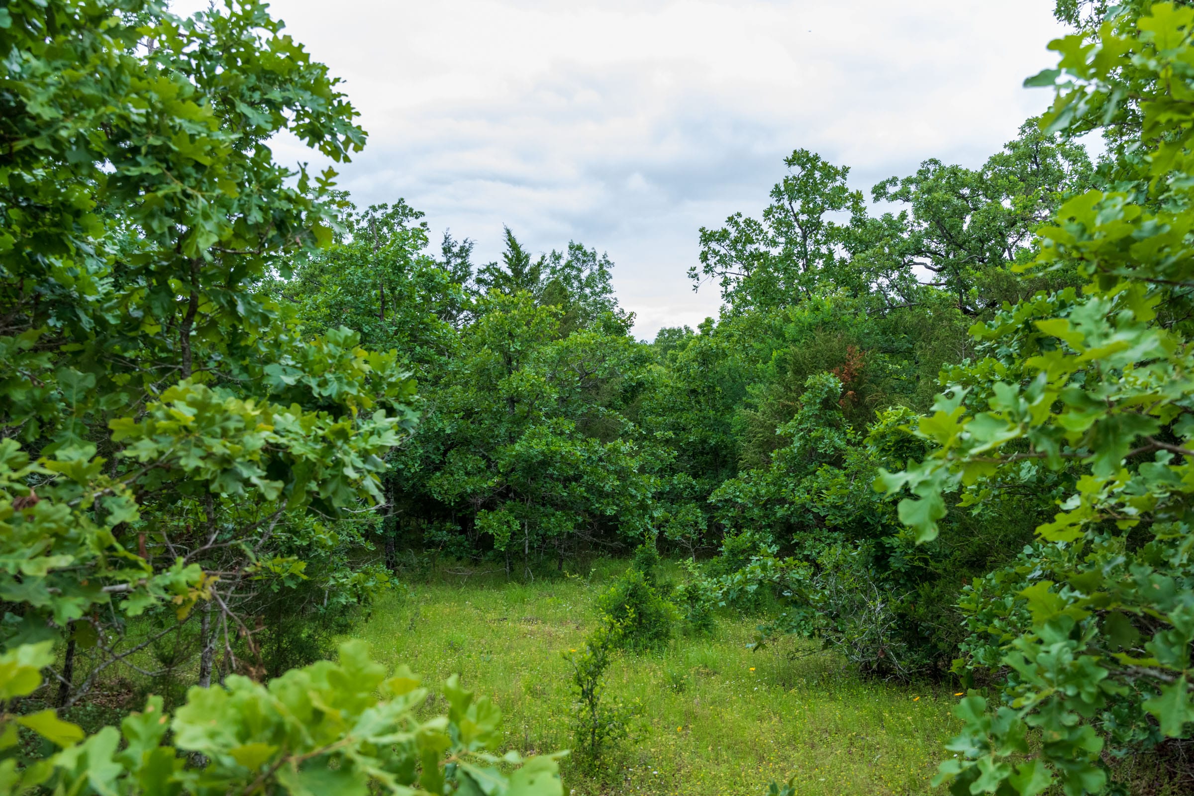 Falcon Crest Tract 16 photo 6