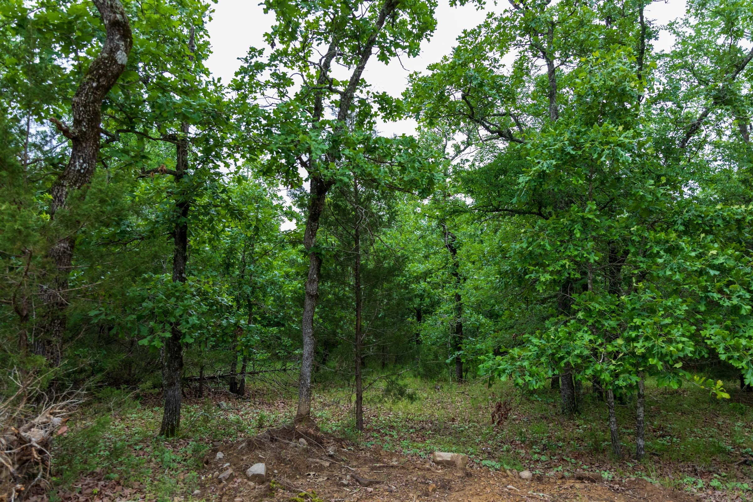 Falcon Crest Tract 16 photo 4