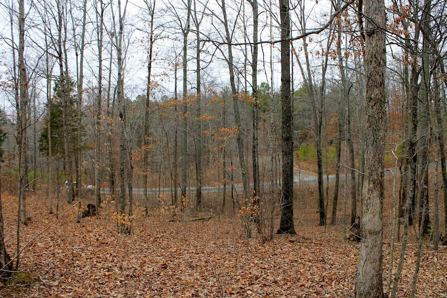 The Tennessean Tract 12 photo 3