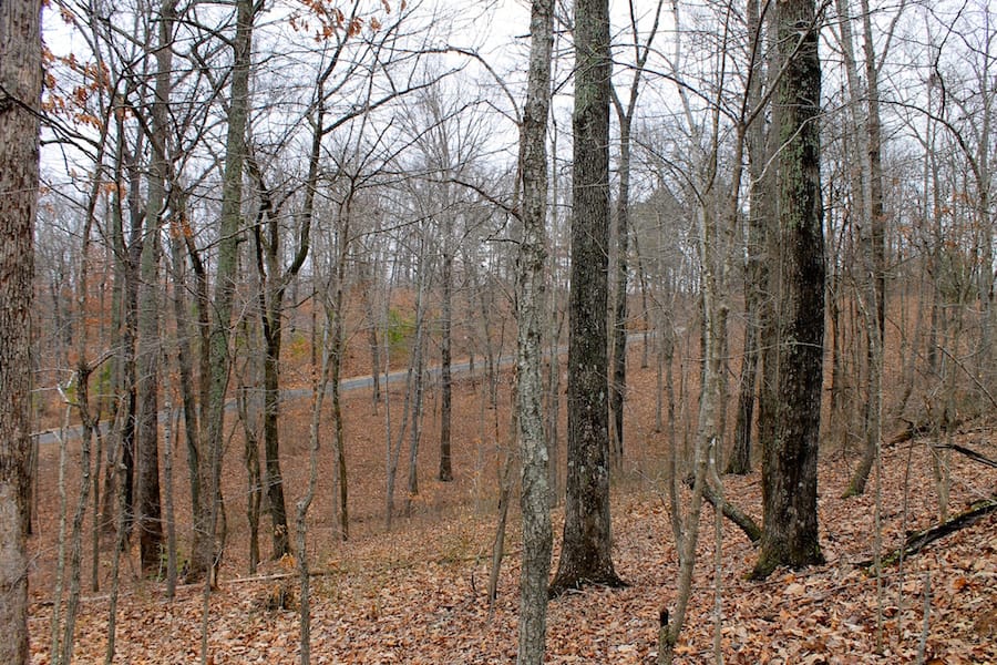 The Tennessean Tract 12 photo 4